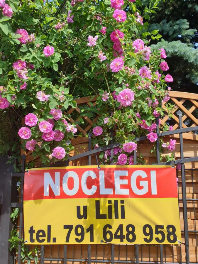 Człuchów Noclegi U Lili מראה חיצוני תמונה